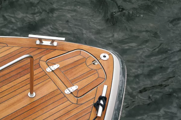 Stainless Steel Hinges Marine 6